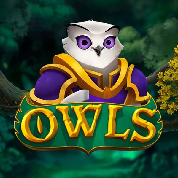 Owls