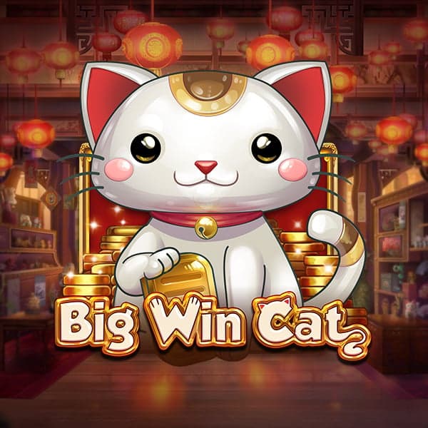 Big Win Cat