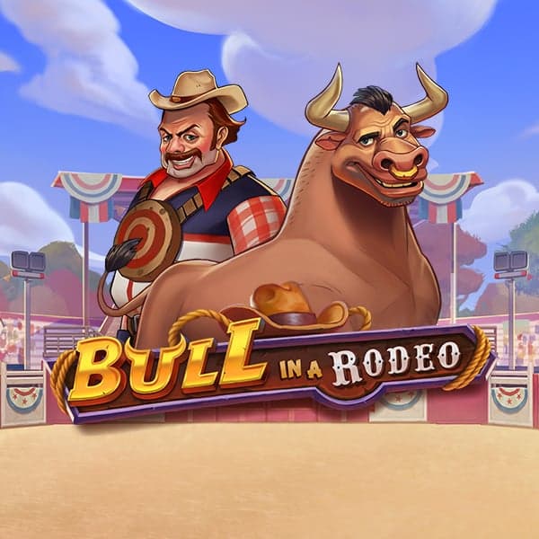 Bull in a Rodeo