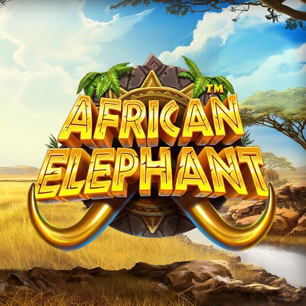 African Elephant