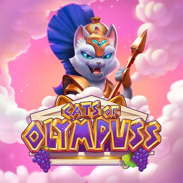 Cats of Olympuss