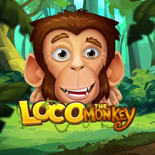 Loco the Monkey