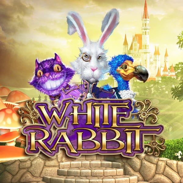 White Rabbit