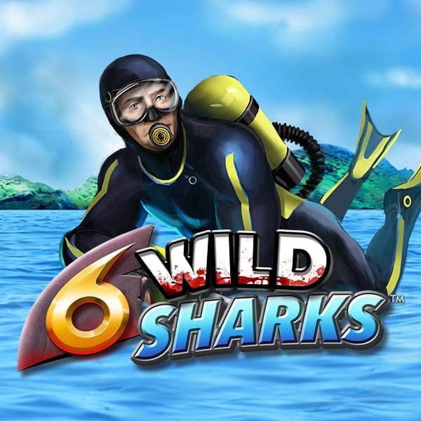 6 Wild Sharks