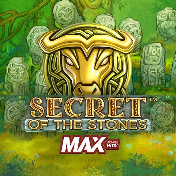 Secret of the Stones