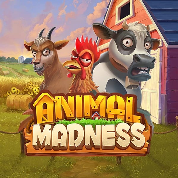 Animal Madness