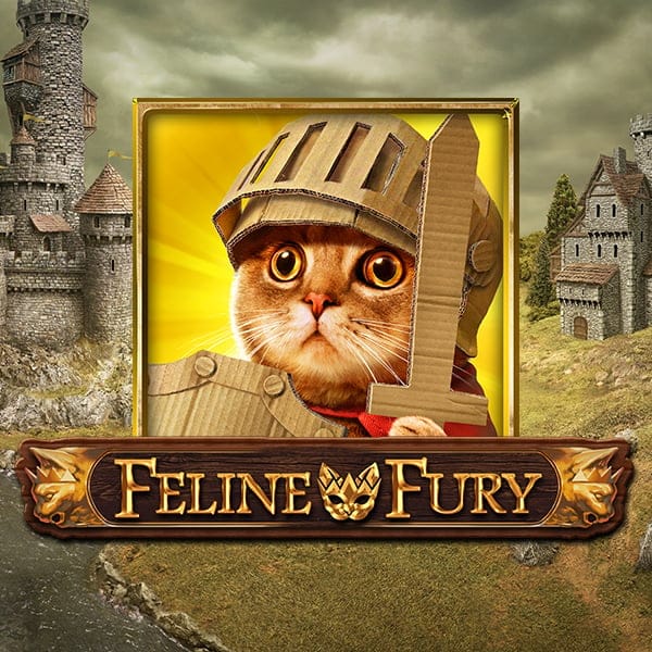 Feline Fury