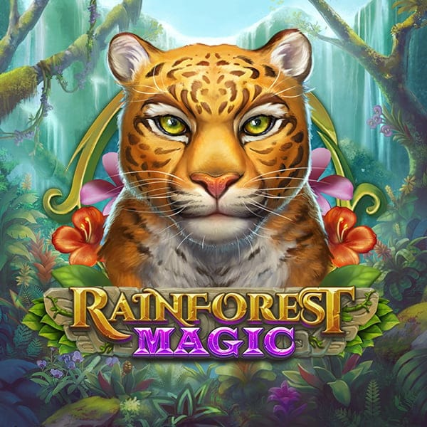 Rainforest Magic