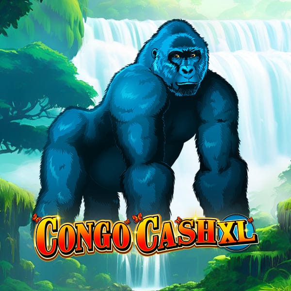 Congo Cash XL