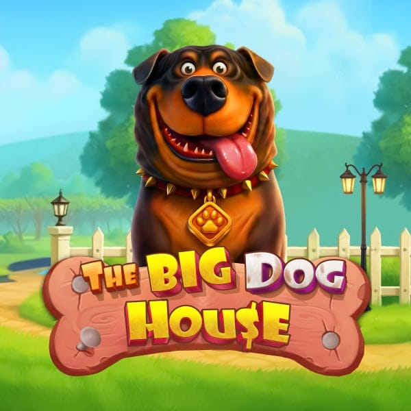 The Big Dog House