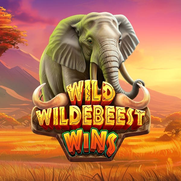 Wild Wildebeest Wins